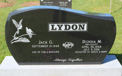 Donna M Lydon