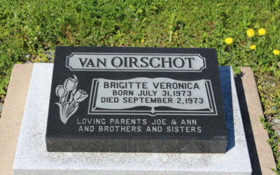 Brigitte Veronica van Oirschot
